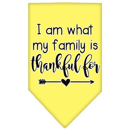 MIRAGE PET PRODUCTS I Am What My Family is Thankful for Screen Print BandanaYellow Large 66-435 LGYW